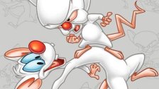 DVD Review: Pinky and the Brain Vol.1
