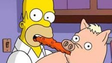Carry-over aspects of <i>The Simpsons Movie</i>:  A Bettor's Guide