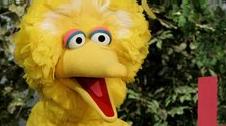 The Wisdom of Big Bird (and the Dark Genius of Oscar the Grouch) review