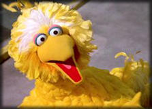 Big Bird!