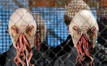 Ood-earie me!